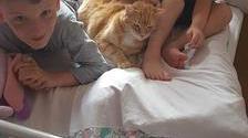 Cliff Le Chat A Retrouve Sa Famille Grace A La Mobilisation D Un Quartier Nord Littoral Cliff Le Chat A Retrouve Sa Famille Grace A La Mobilisation D Un Quartier Nord Littoral